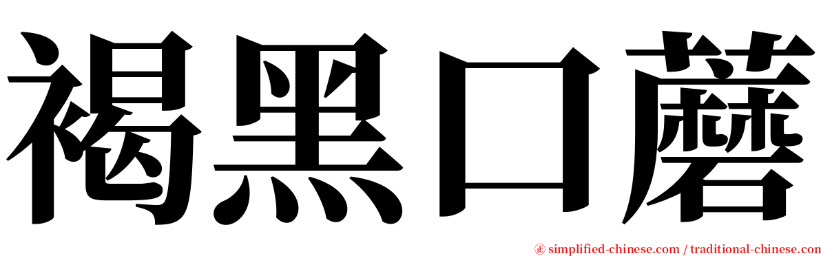 褐黑口蘑 serif font