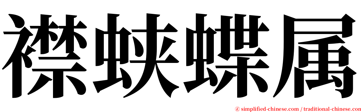 襟蛱蝶属 serif font