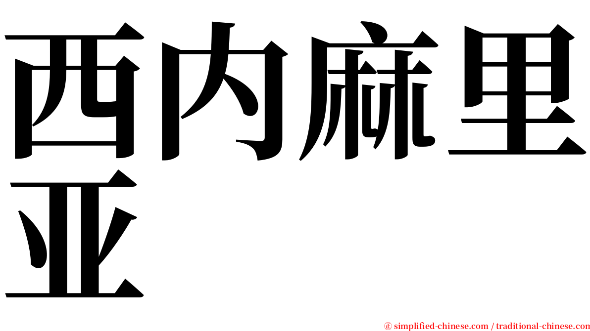 西内麻里亚 serif font