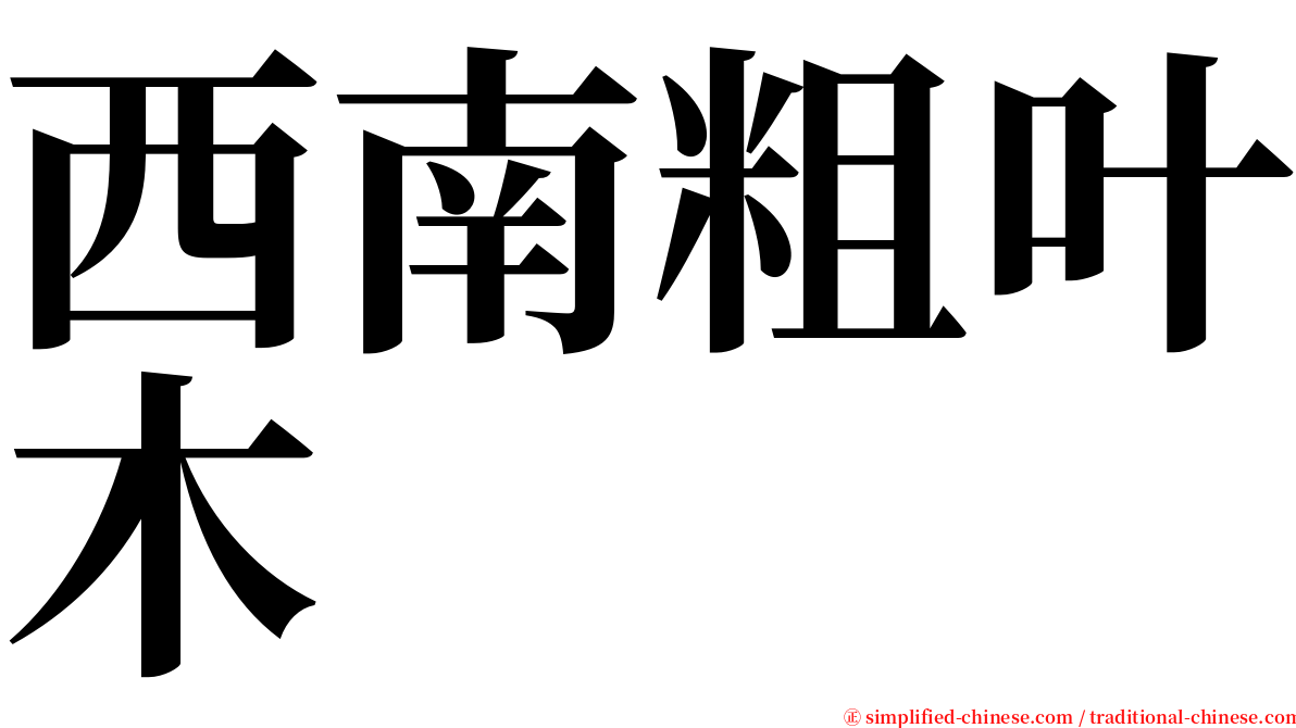 西南粗叶木 serif font