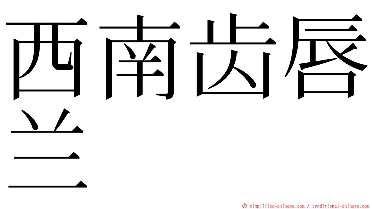 西南齿唇兰 ming font