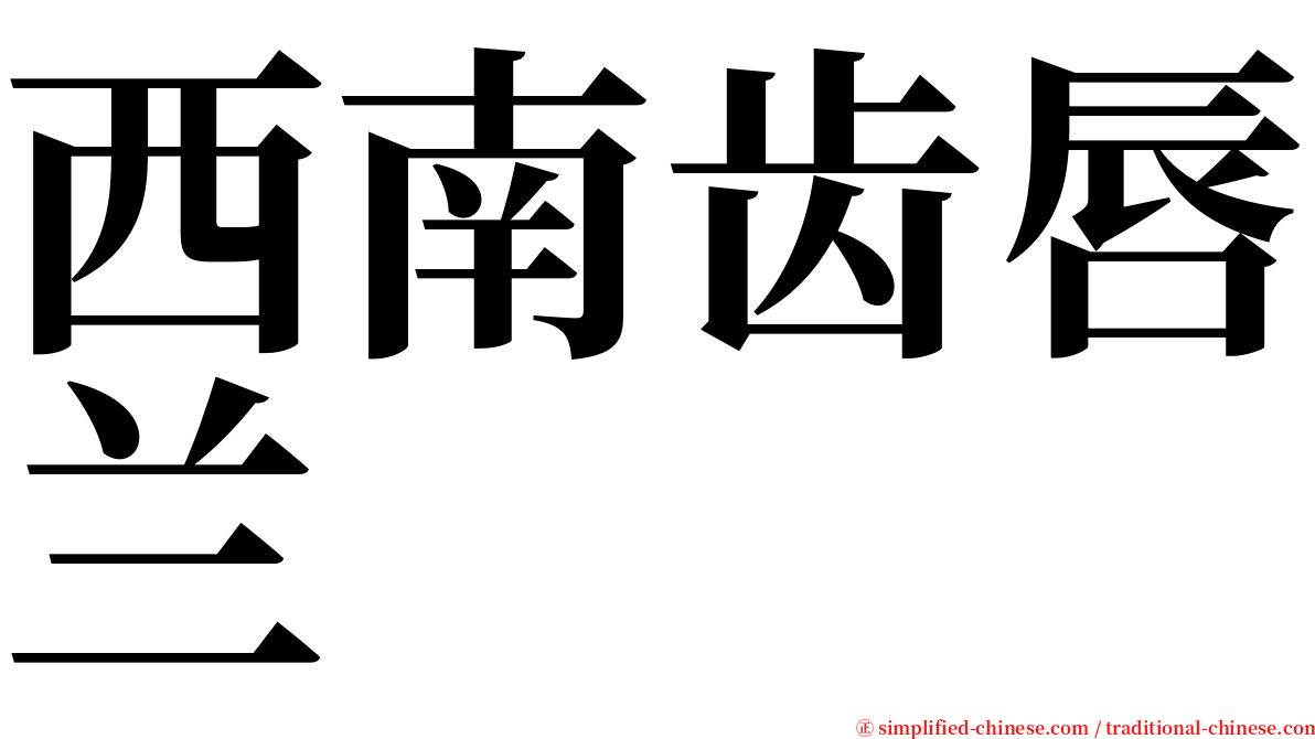 西南齿唇兰 serif font