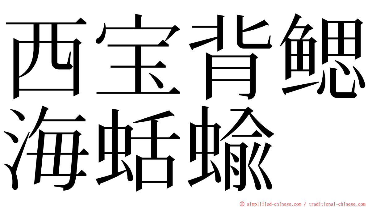 西宝背鳃海蛞蝓 ming font