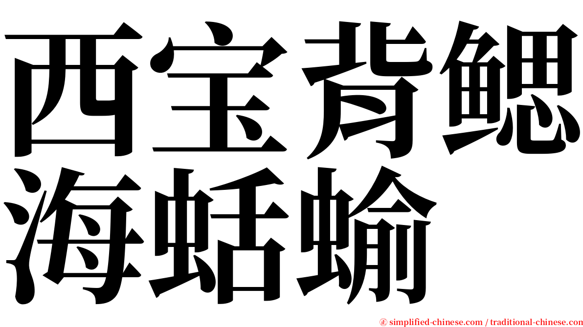 西宝背鳃海蛞蝓 serif font