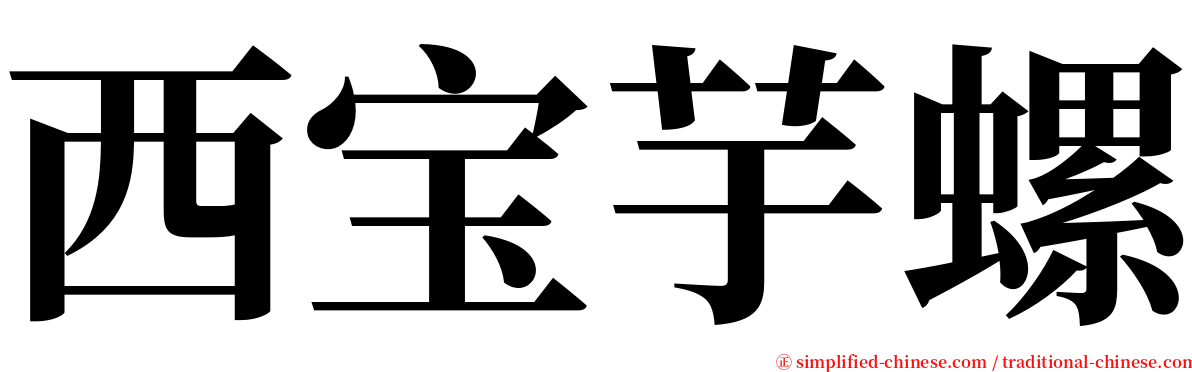 西宝芋螺 serif font