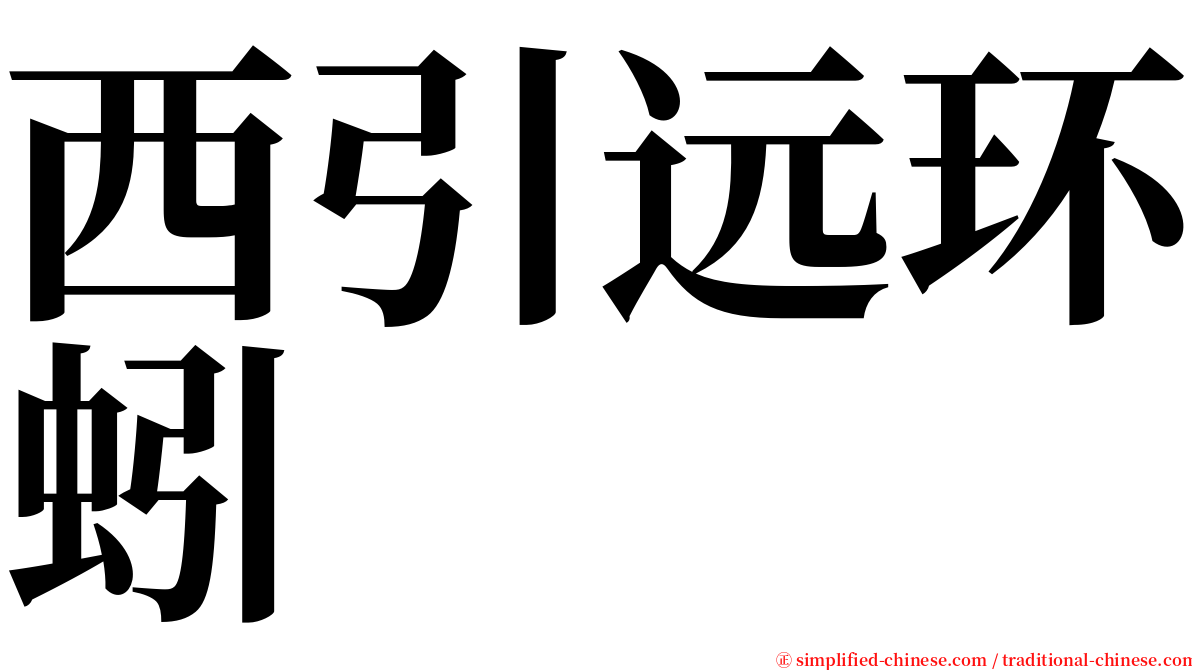 西引远环蚓 serif font