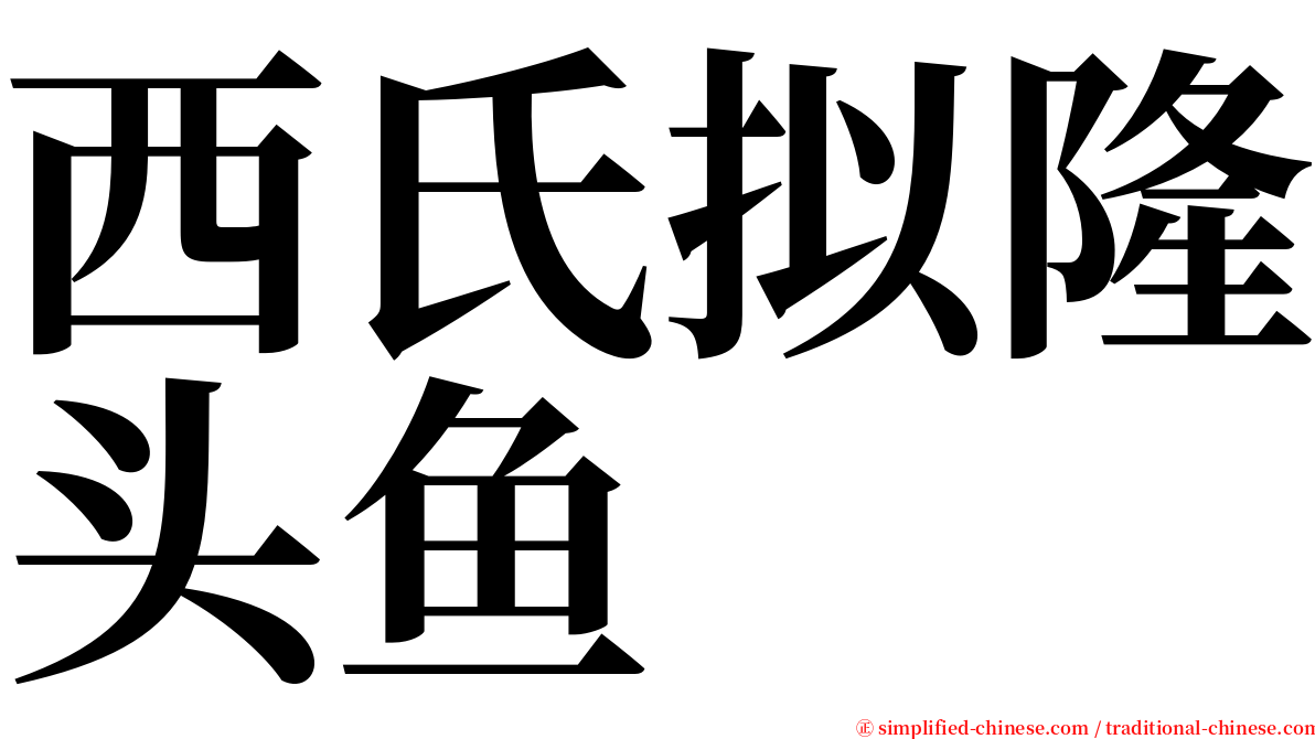 西氏拟隆头鱼 serif font