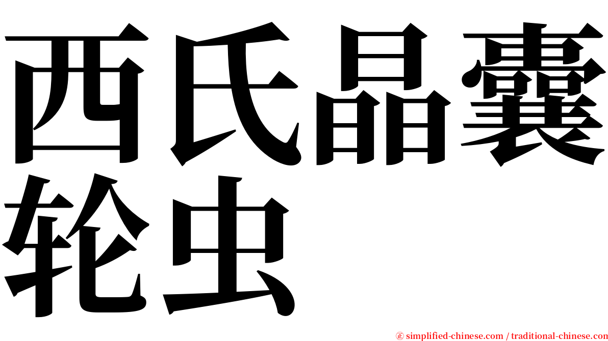 西氏晶囊轮虫 serif font