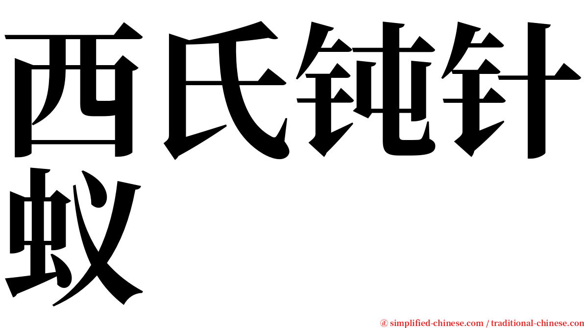 西氏钝针蚁 serif font