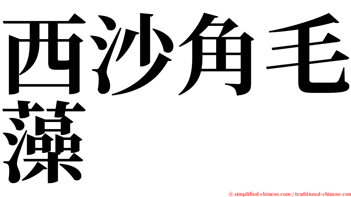 西沙角毛藻 serif font