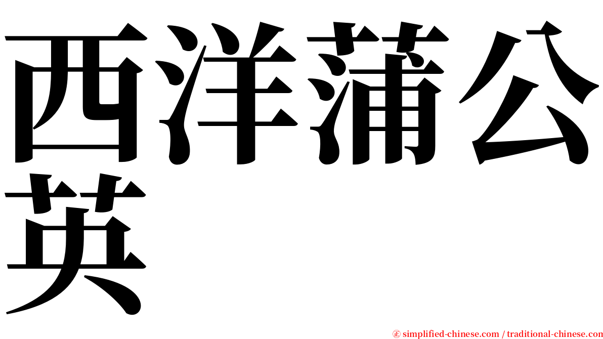 西洋蒲公英 serif font