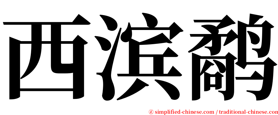 西滨鹬 serif font