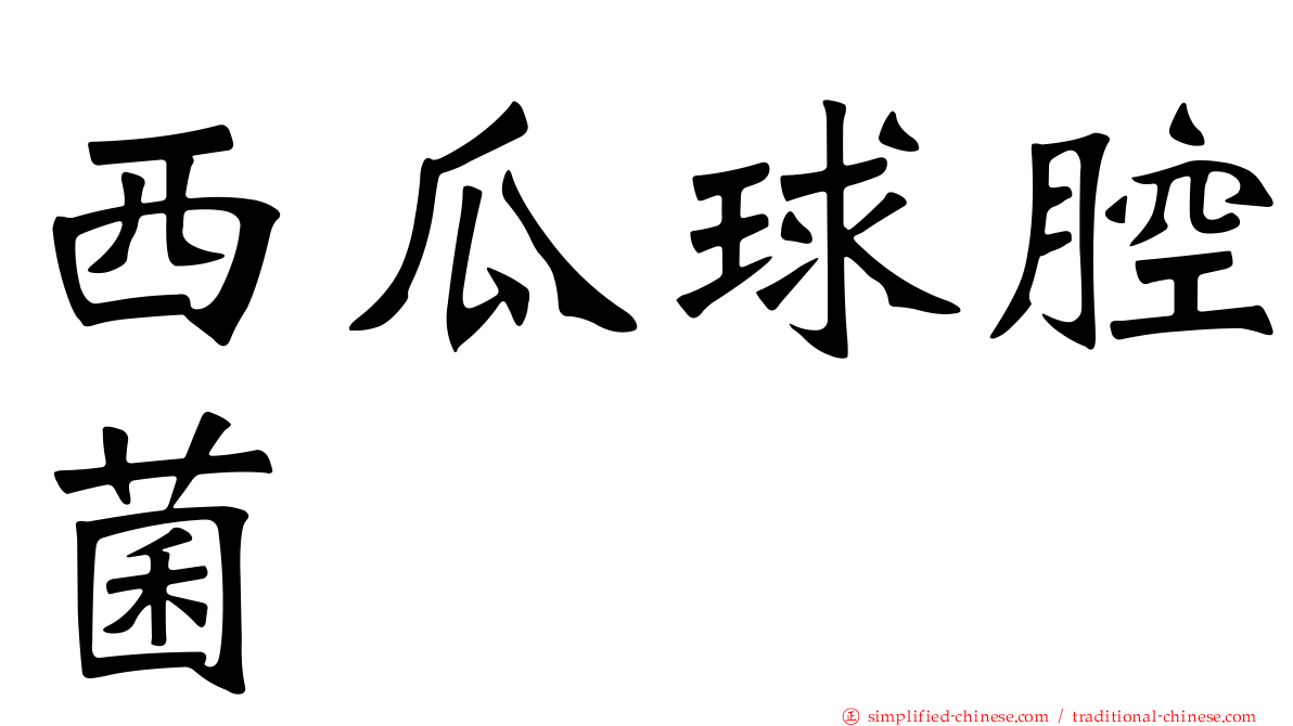 西瓜球腔菌