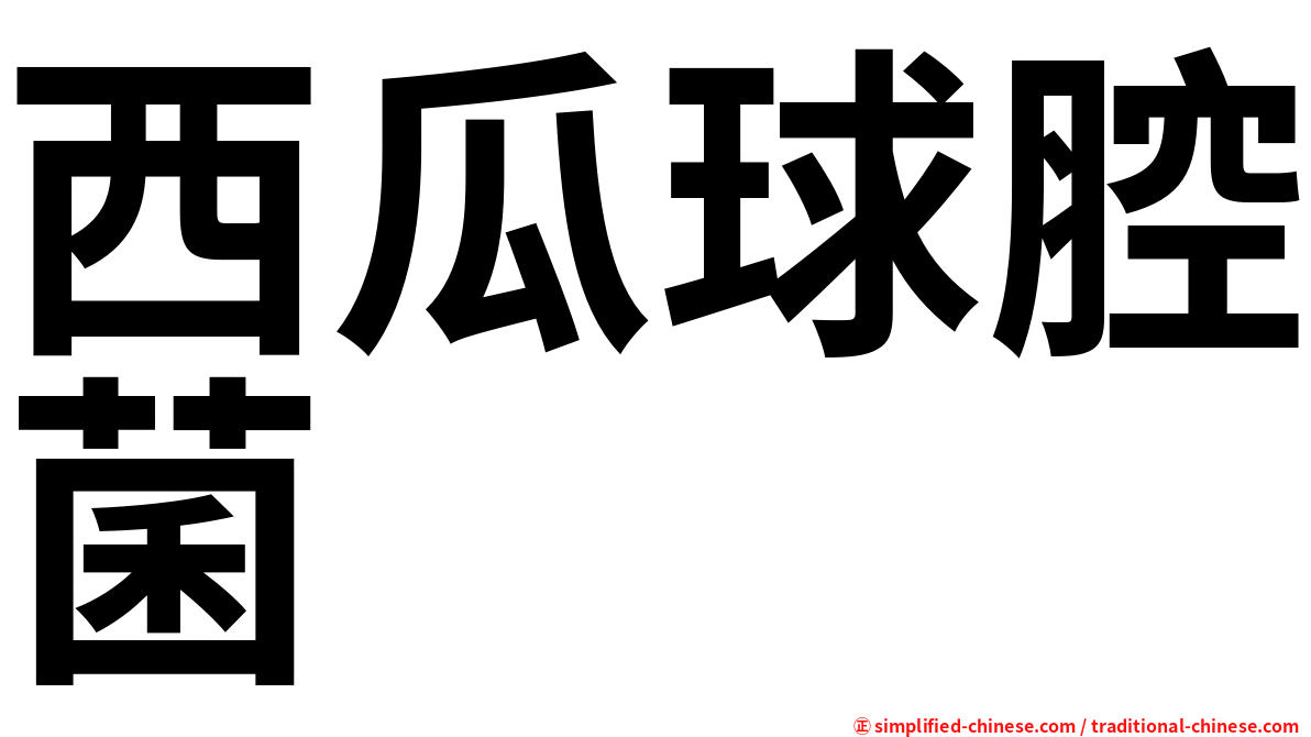 西瓜球腔菌