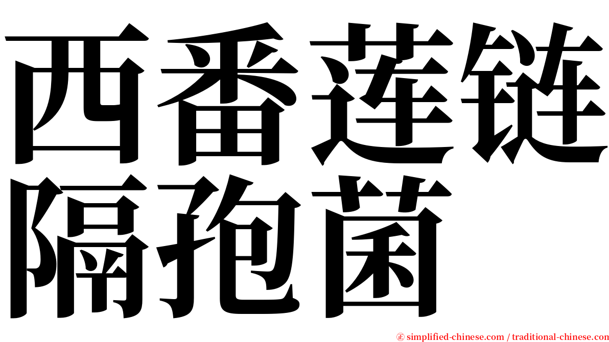 西番莲链隔孢菌 serif font