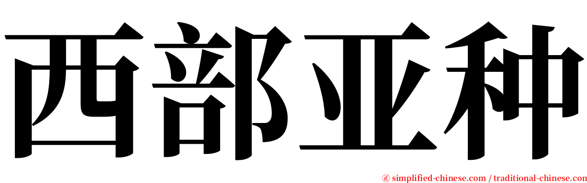 西部亚种 serif font