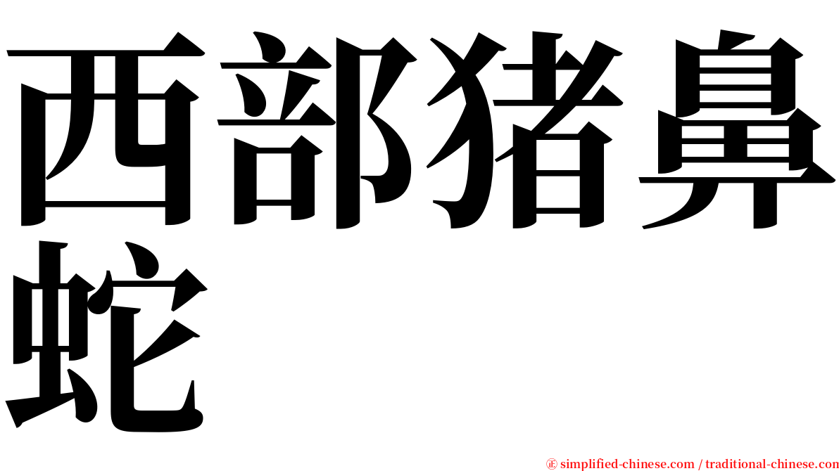 西部猪鼻蛇 serif font