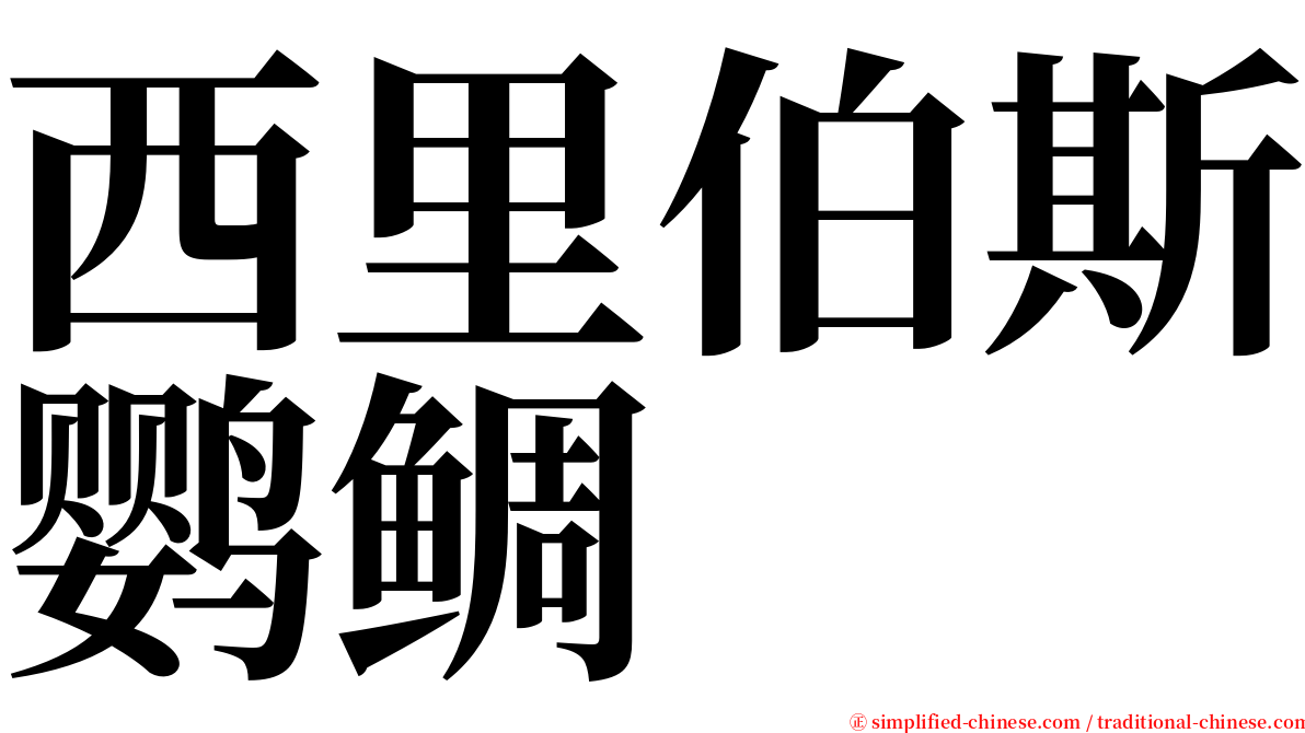 西里伯斯鹦鲷 serif font