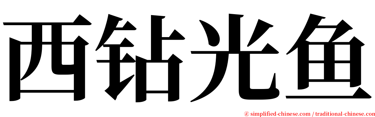 西钻光鱼 serif font