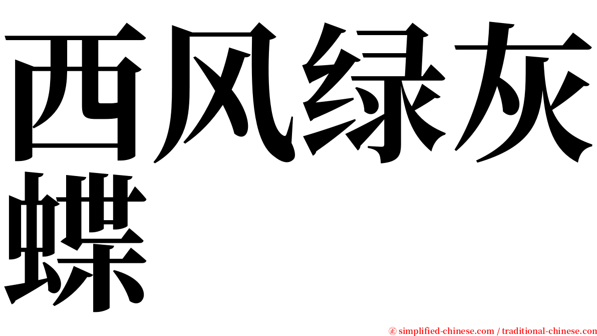 西风绿灰蝶 serif font