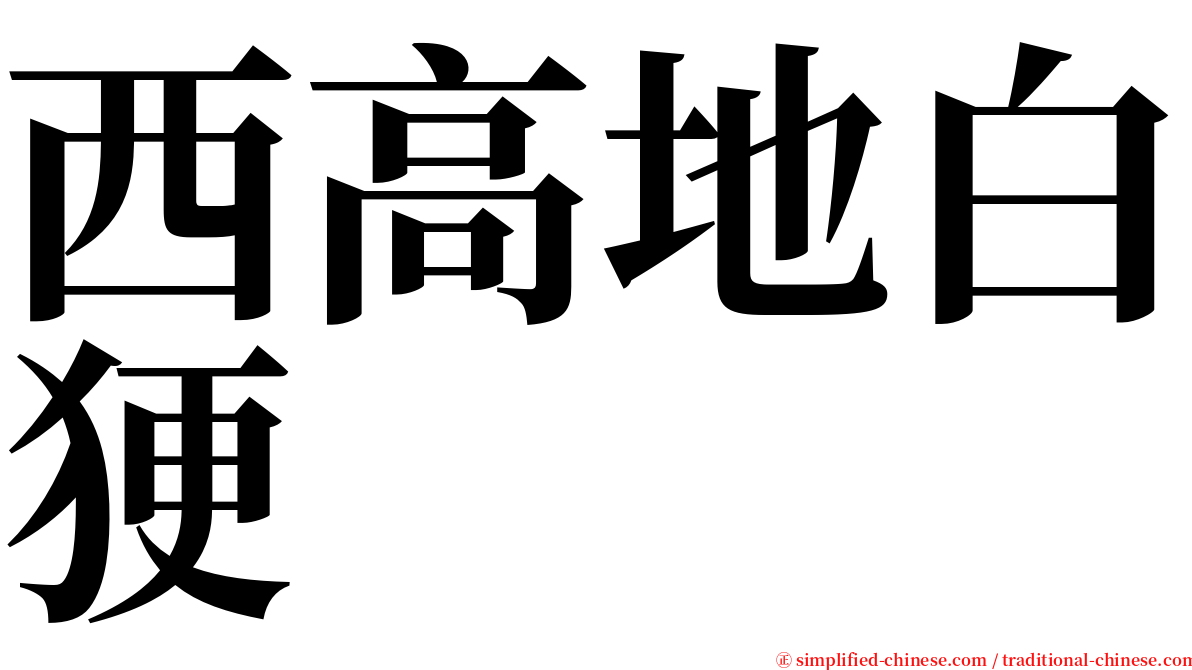 西高地白㹴 serif font