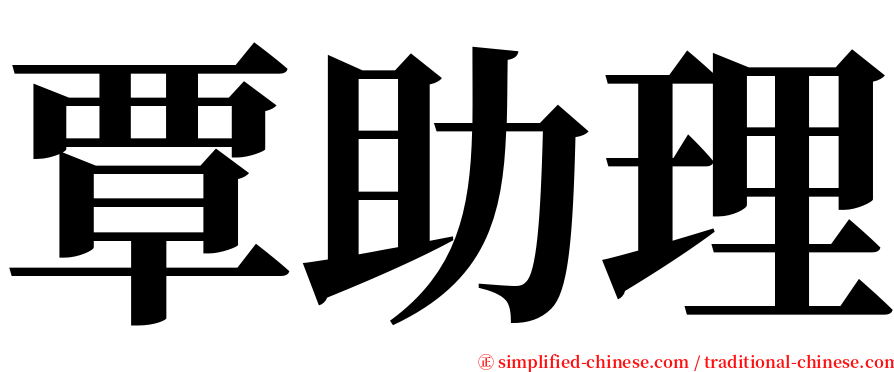 覃助理 serif font