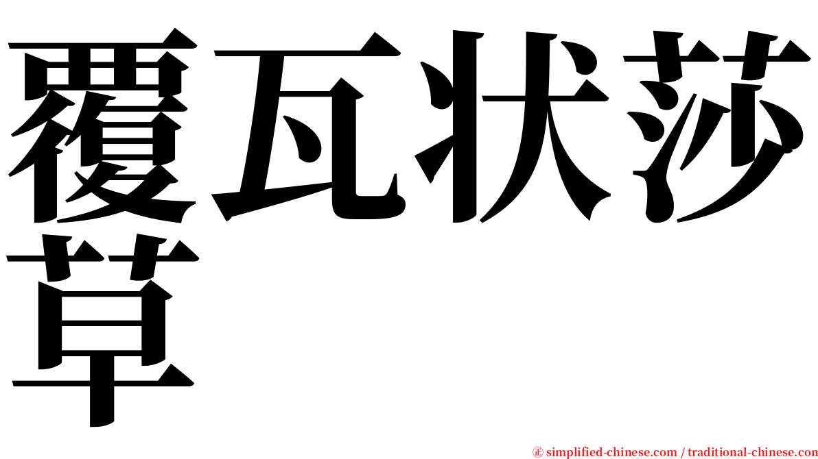 覆瓦状莎草 serif font