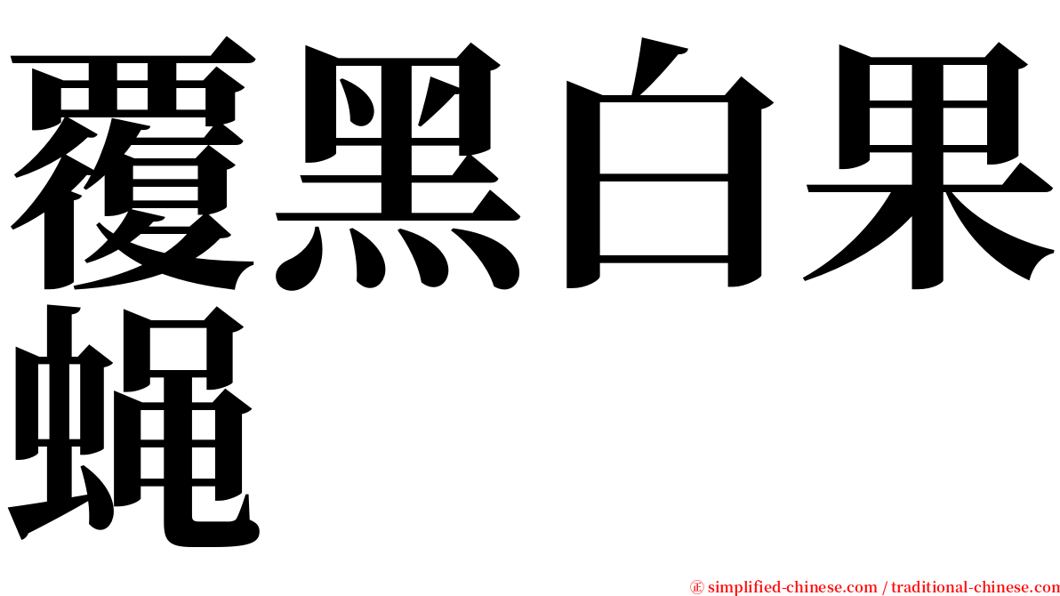 覆黑白果蝇 serif font