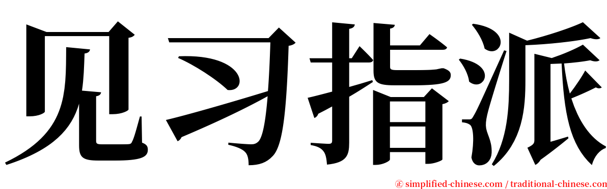 见习指派 serif font