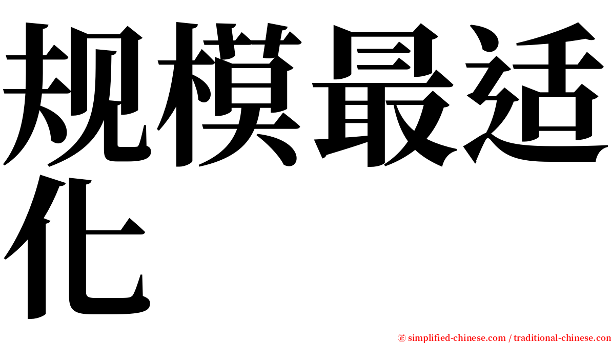 规模最适化 serif font