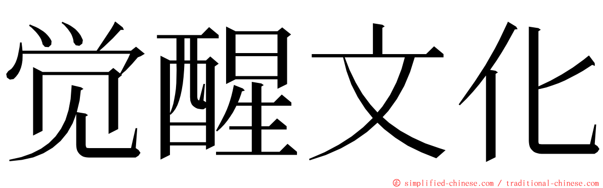 觉醒文化 ming font