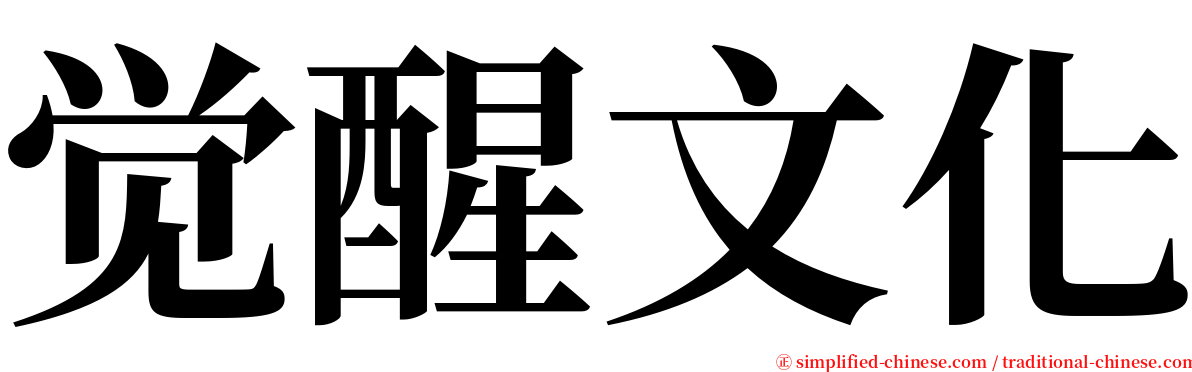觉醒文化 serif font