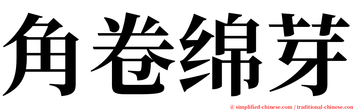 角卷绵芽 serif font