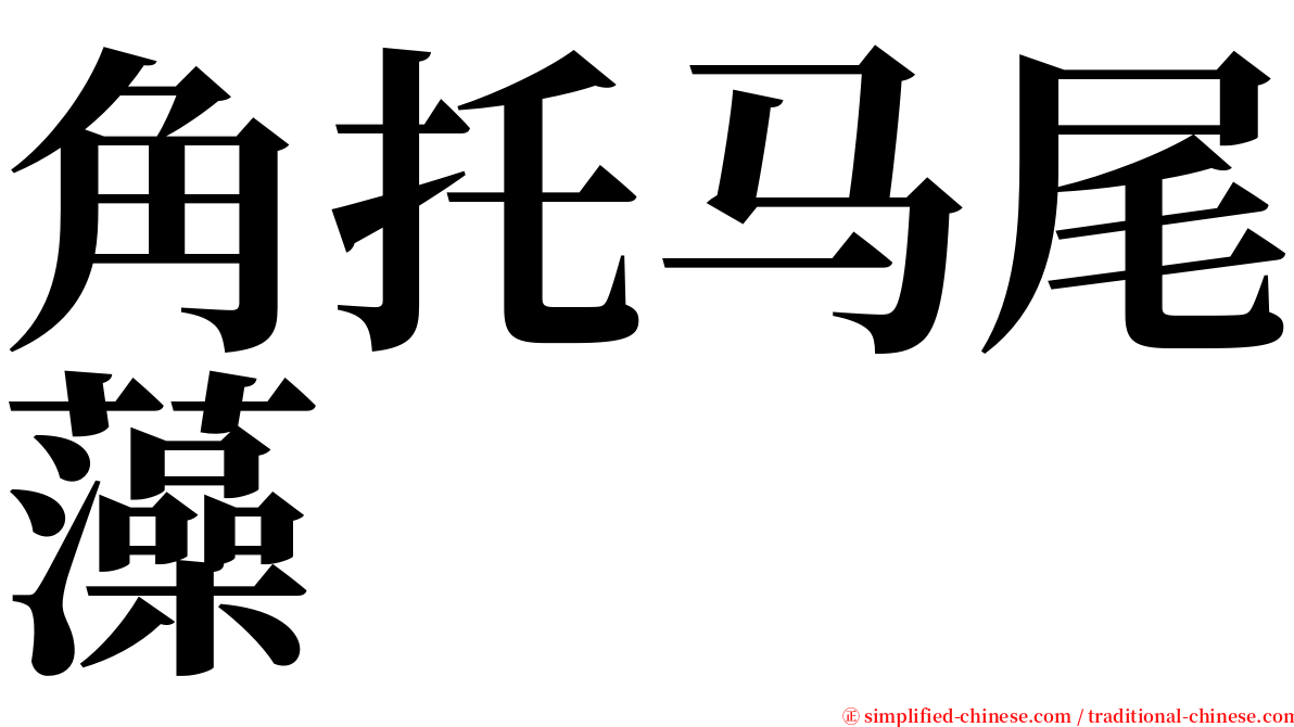 角托马尾藻 serif font