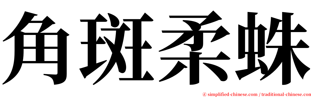 角斑柔蛛 serif font