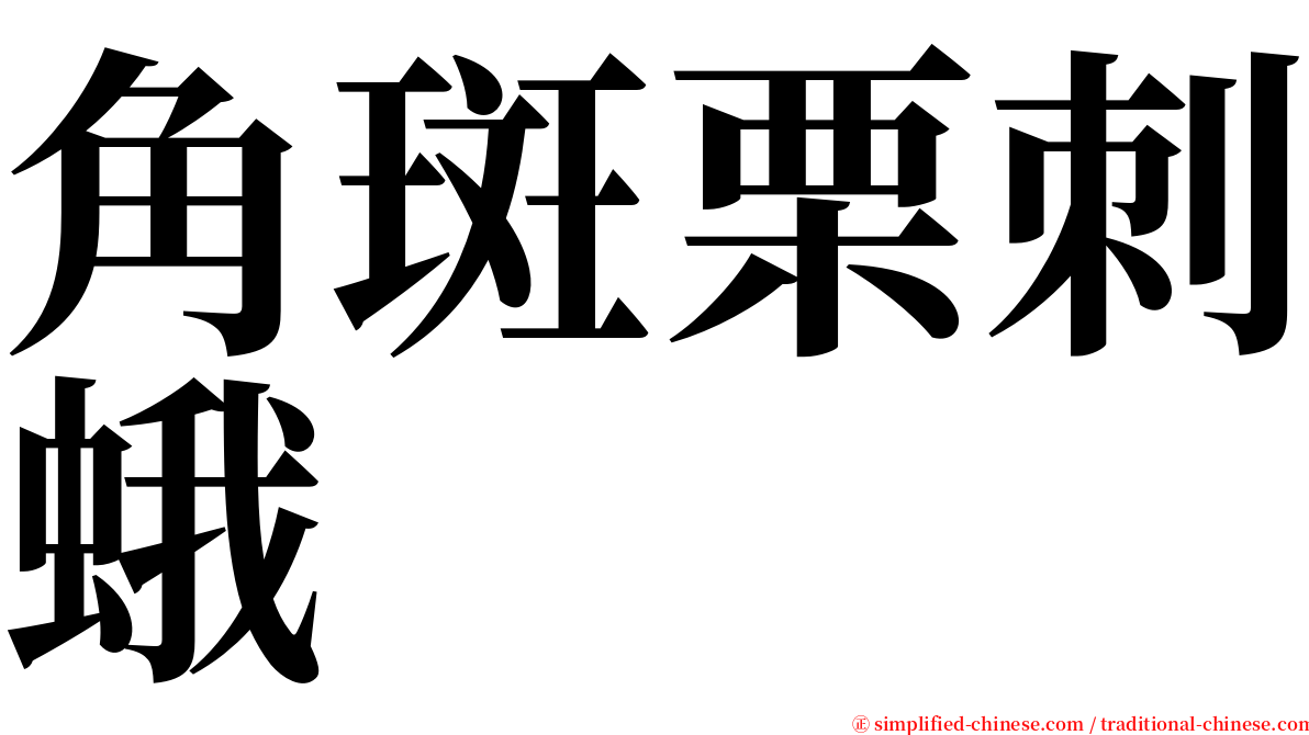 角斑栗刺蛾 serif font