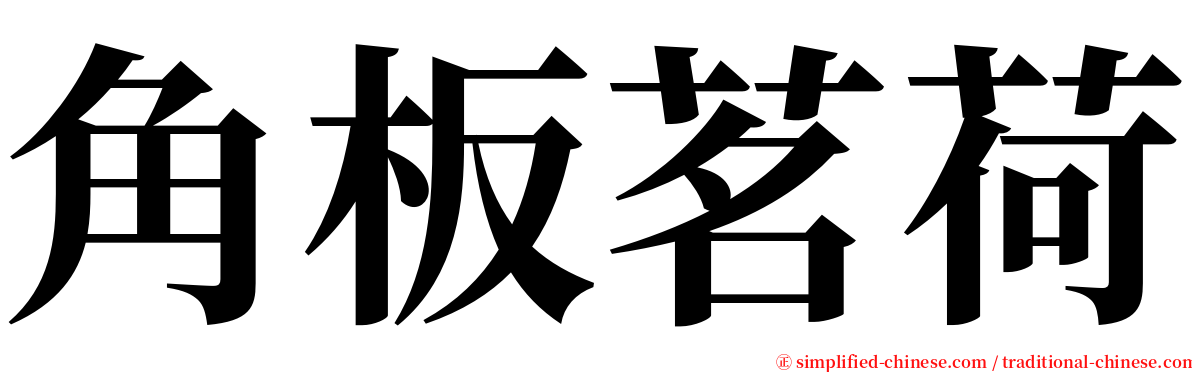 角板茗荷 serif font