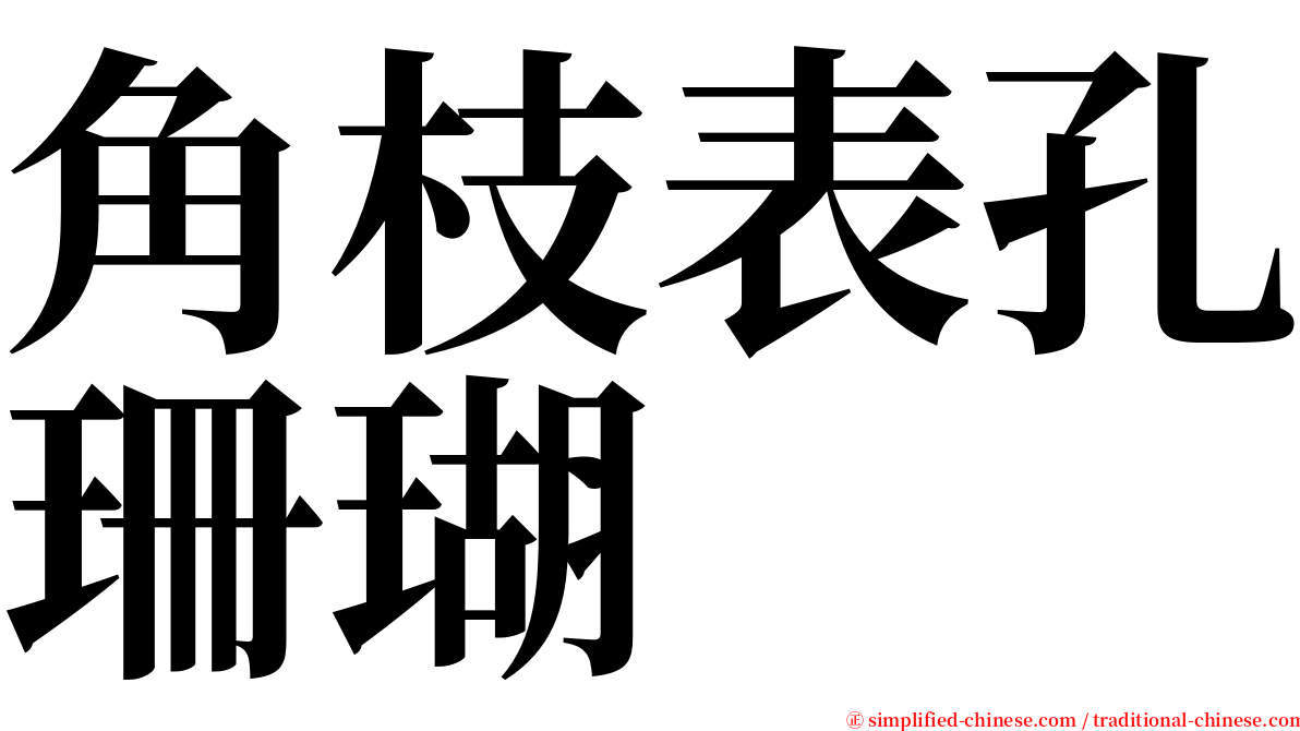 角枝表孔珊瑚 serif font