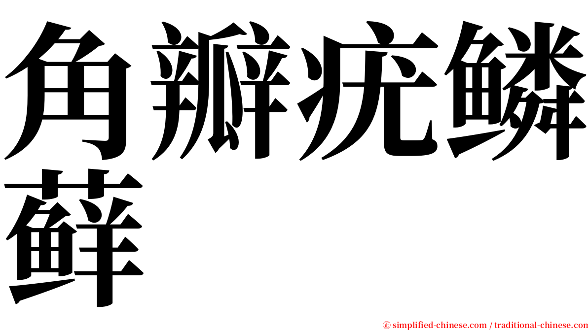 角瓣疣鳞藓 serif font