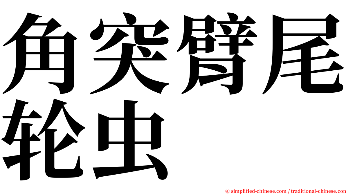 角突臂尾轮虫 serif font