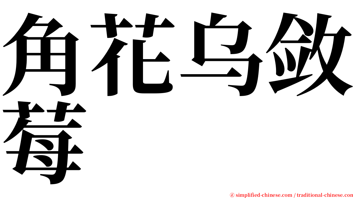 角花乌敛莓 serif font