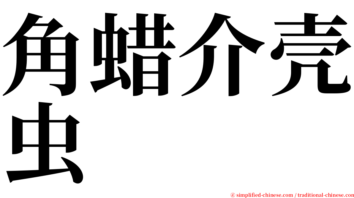 角蜡介壳虫 serif font