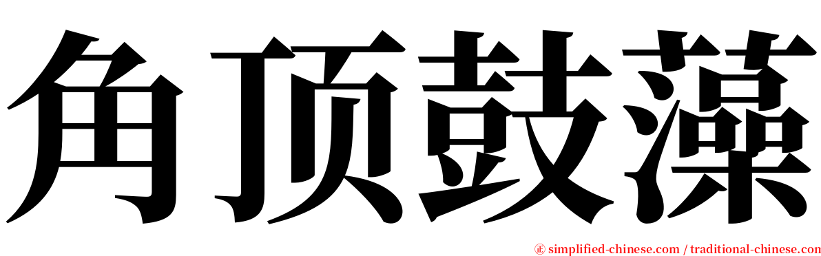 角顶鼓藻 serif font