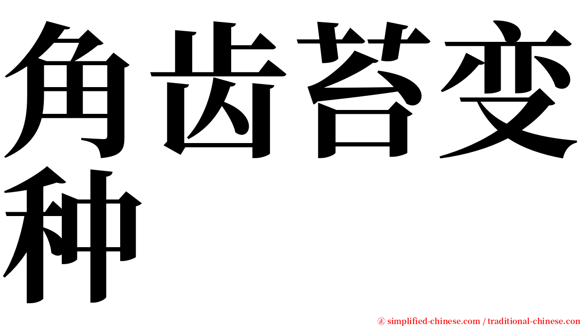 角齿苔变种 serif font