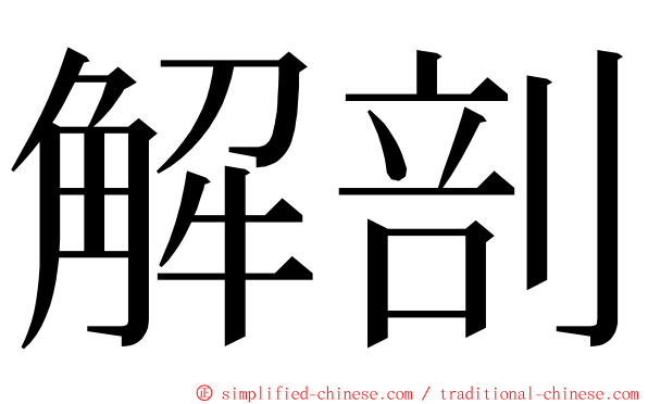 解剖 ming font