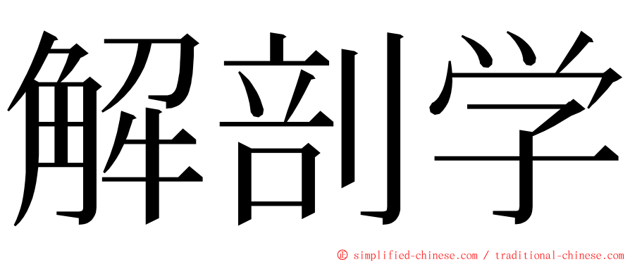 解剖学 ming font