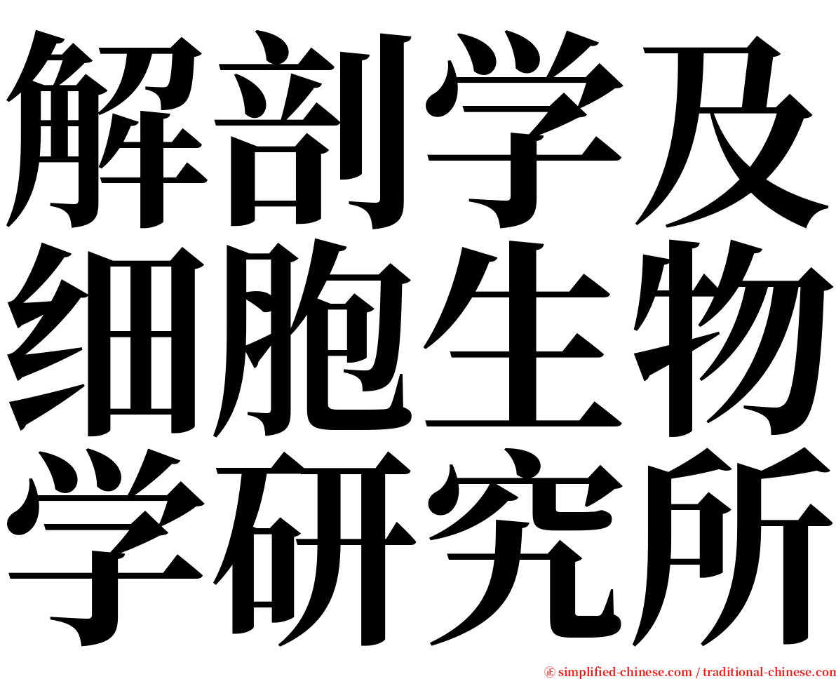 解剖学及细胞生物学研究所 serif font