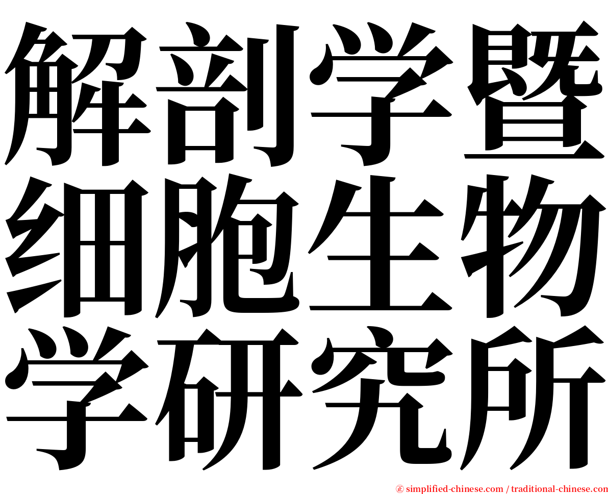 解剖学暨细胞生物学研究所 serif font