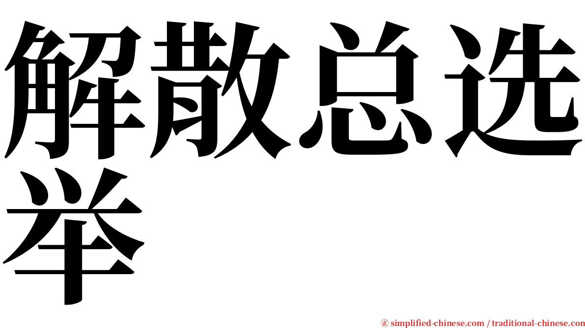 解散总选举 serif font