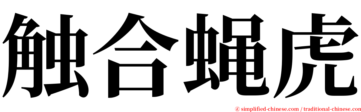 触合蝇虎 serif font